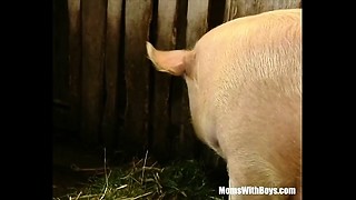 Brown-haired Girl Farmer Fur covered Pussy Barn Fucked